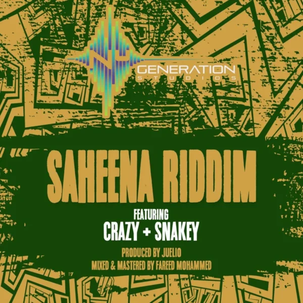 Saheena Riddim - Unknown Saheena Riddim - Nu Generation Studios