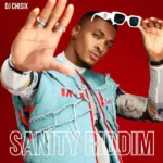 Sanity Riddim (Afrobeat) produced by DJ CHISIX