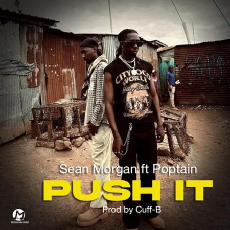 Sean Morgan Ft. Poptain - Push It