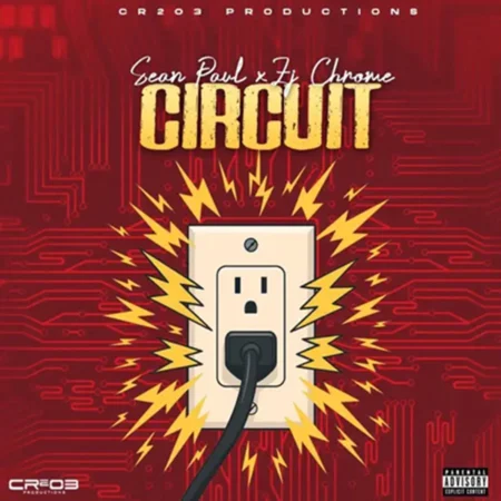 Sean Paul - Circuit