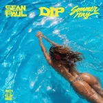 Sean Paul – DIP