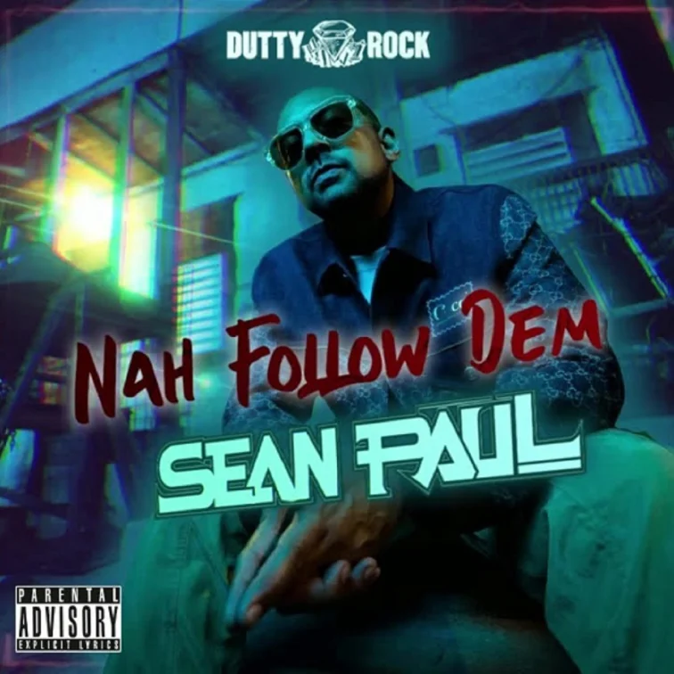 Sean Paul - Nah Follow Dem