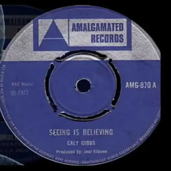 Seeing Is Knowing Riddim - Amalgamated