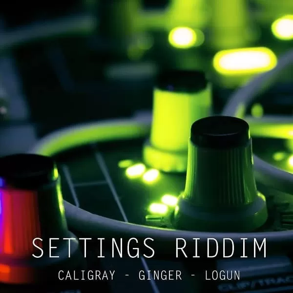 settings riddim - district records