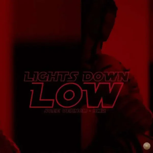 Sgee Vehnom & 9mr - Lights Down Low