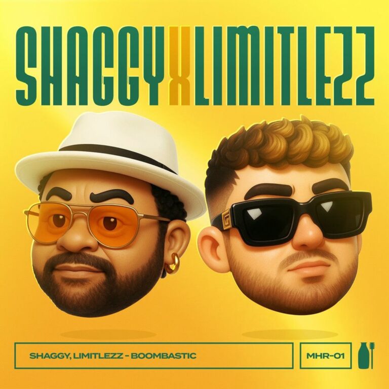 Shaggy X Limitlezz - Boombastic