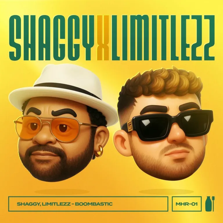 Shaggy x Limitlezz – Boombastic Shaggy X Limitlezz - Boombastic