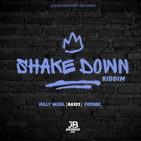 Shake Down Riddim - Jussbusscamp Records
