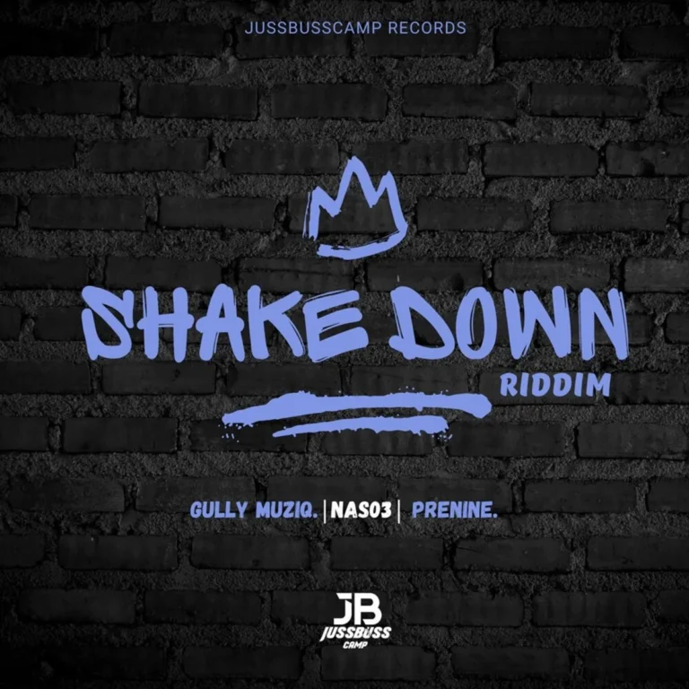 Shake Down Riddim - Jussbusscamp Records
