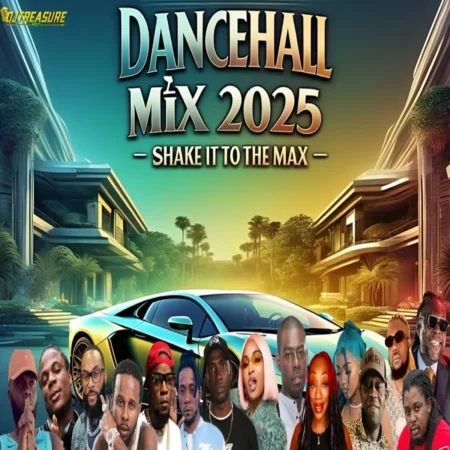 Shake It To The Max Dancehall Mix - Dj Treasure