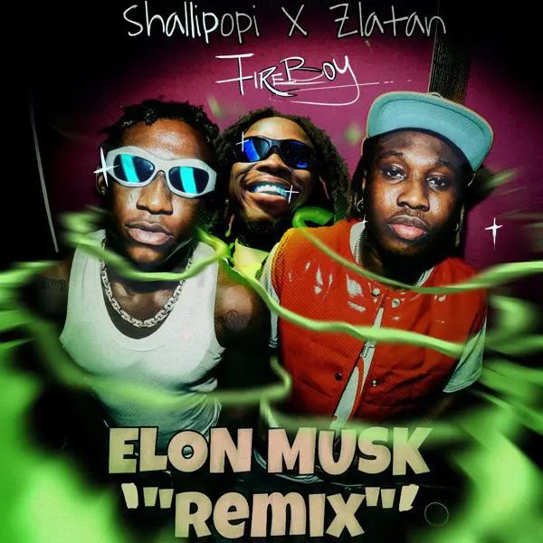 Shallipopi, Fireboy Dml & Zlatan - Elon Musk (remix)