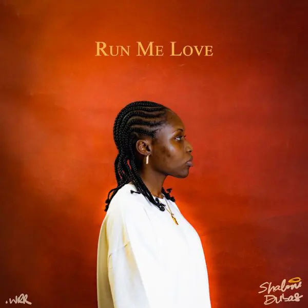 shalom dubas - run me love