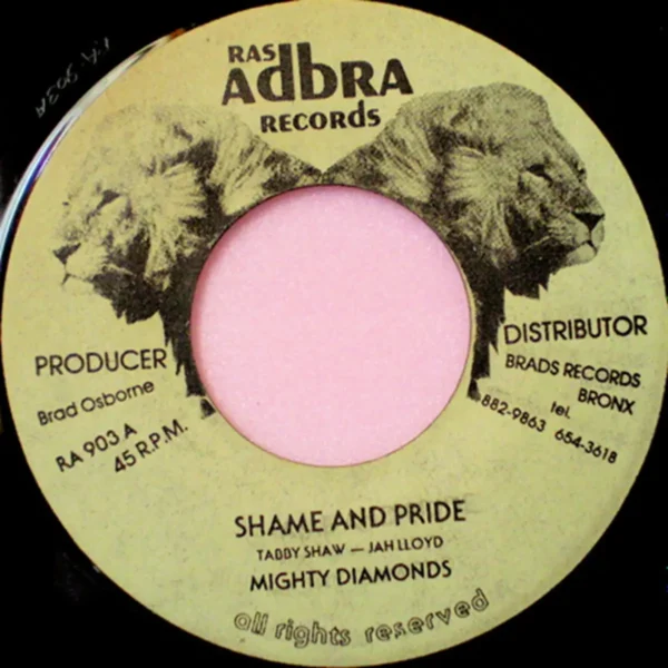 Shame And Pride Riddim - Unknown Label