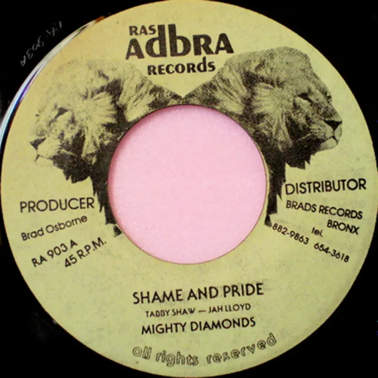 Shame And Pride Riddim - Unknown Label