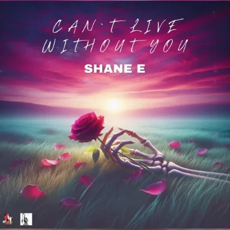 Shane E - Can't Live Without You