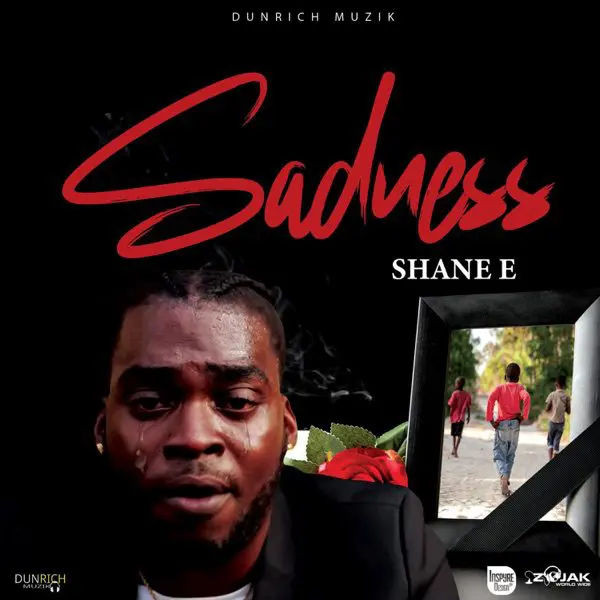 shane e - sadness