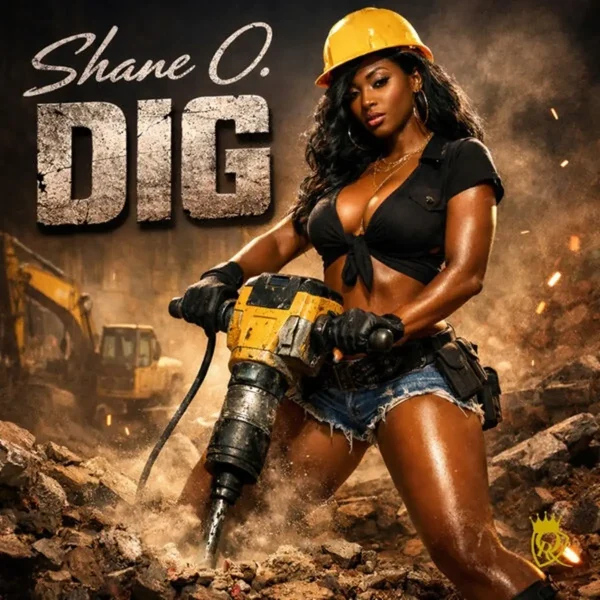 Shane O – Dig Shane O - Dig