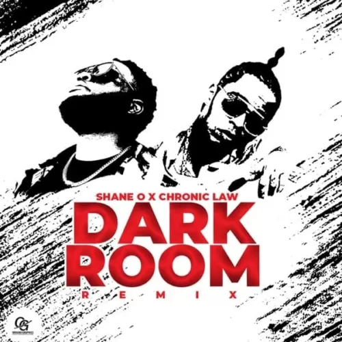 shane o ft. chronic law - dark room (remix)