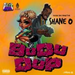 Shane O & Ibez Don – BuduDup