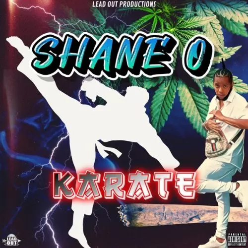 shane o - karate