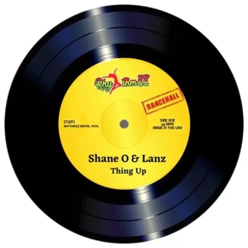 shane o and lanz - thing up