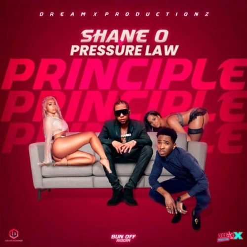 Shane-O-Pressure-Law-Principle