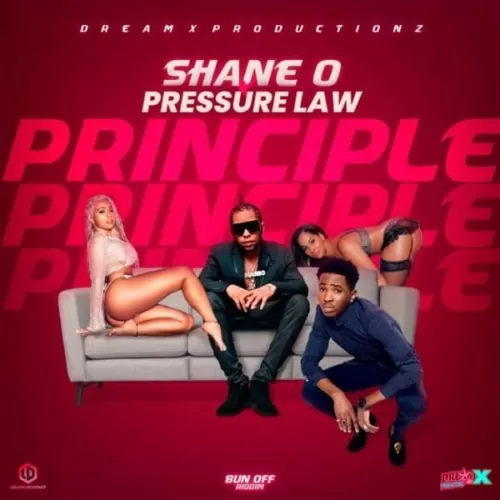 shane o and pressure law - principle