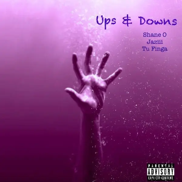 shane o - ups - downs