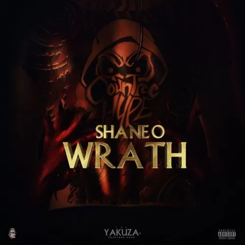shane o - wrath