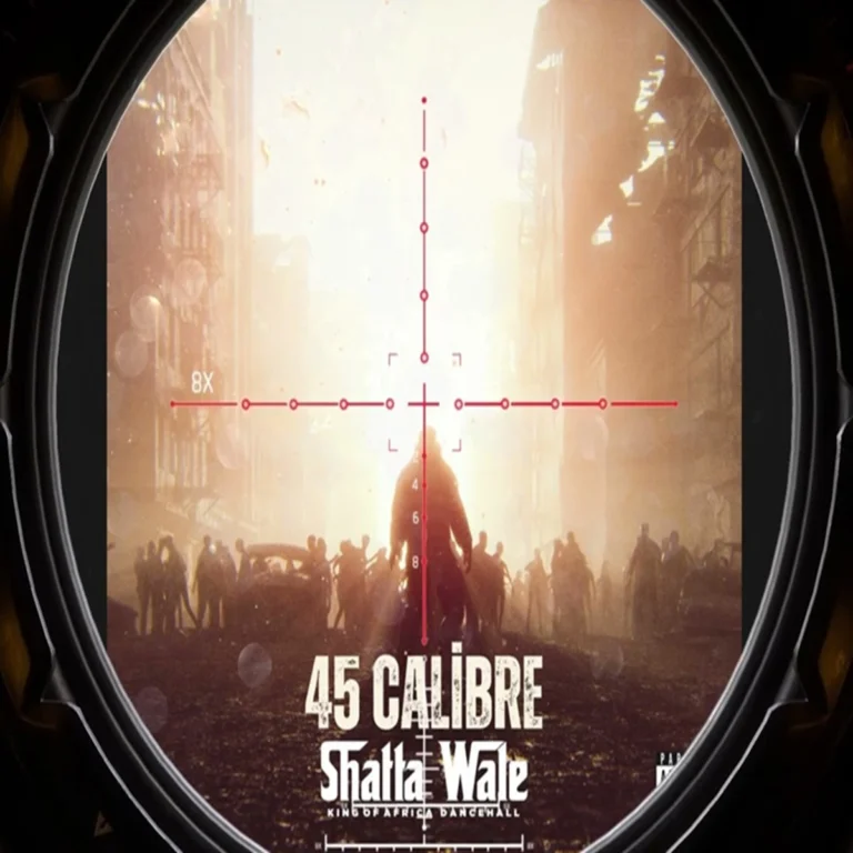 Shatta Wale - 45 Calibre