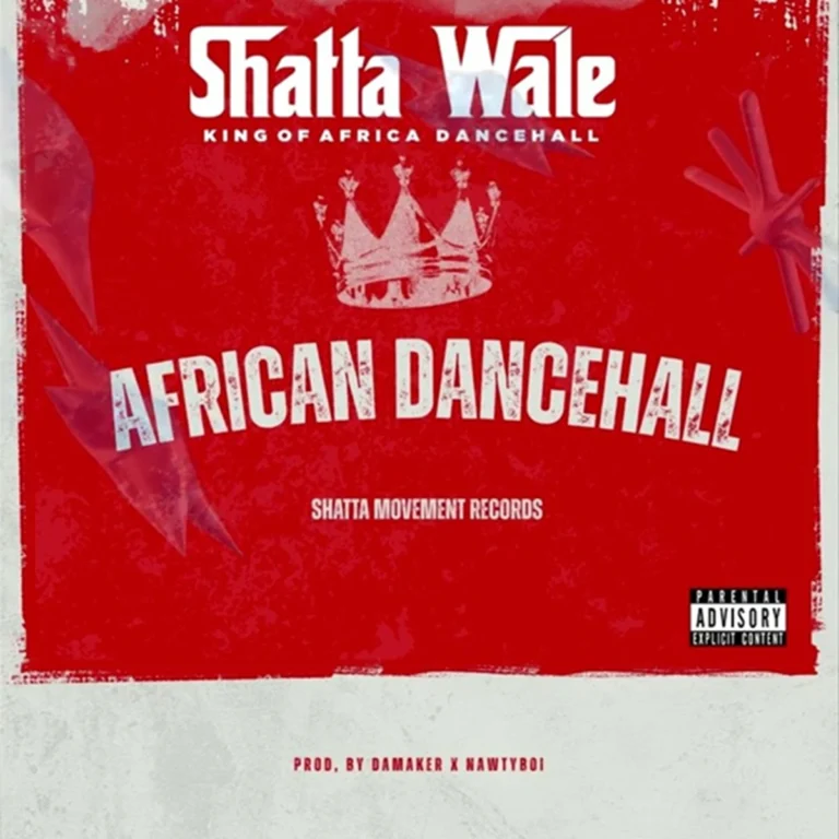 Shatta Wale - African Dancehall