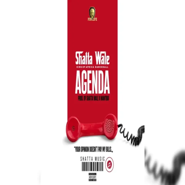 Shatta Wale - Agenda