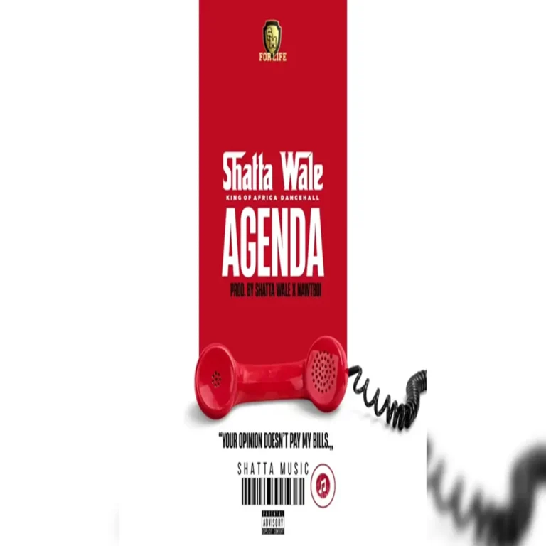 Shatta Wale - Agenda