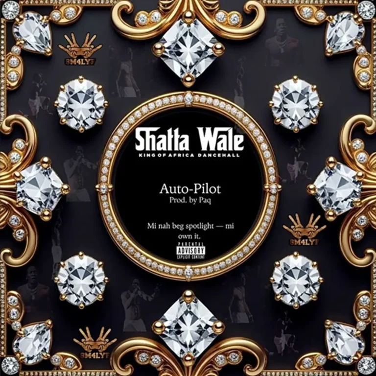 Shatta Wale - Auto-Pilot