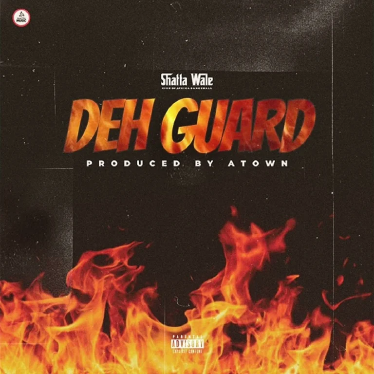 Shatta Wale - Deh Guard