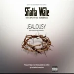 Shatta Wale – Jealousy