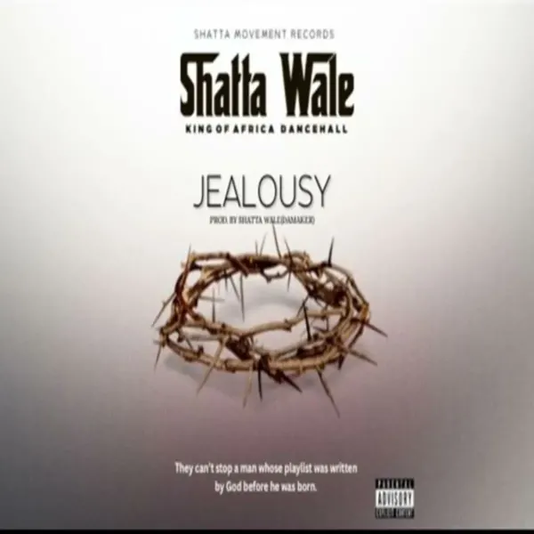 Shatta Wale - Jealousy