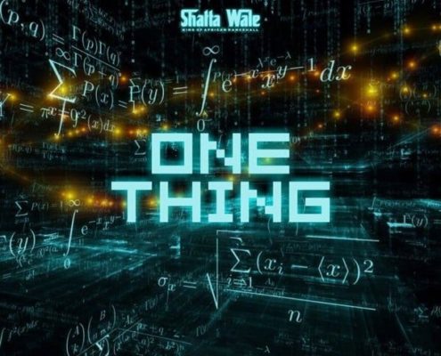 shatta wale one thing