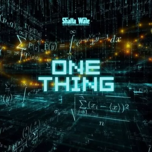 shatta wale - one thing