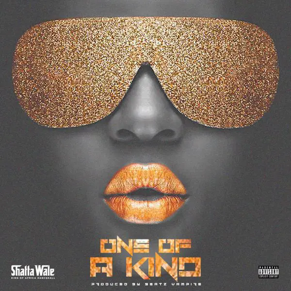 shatta wale - one of a kind