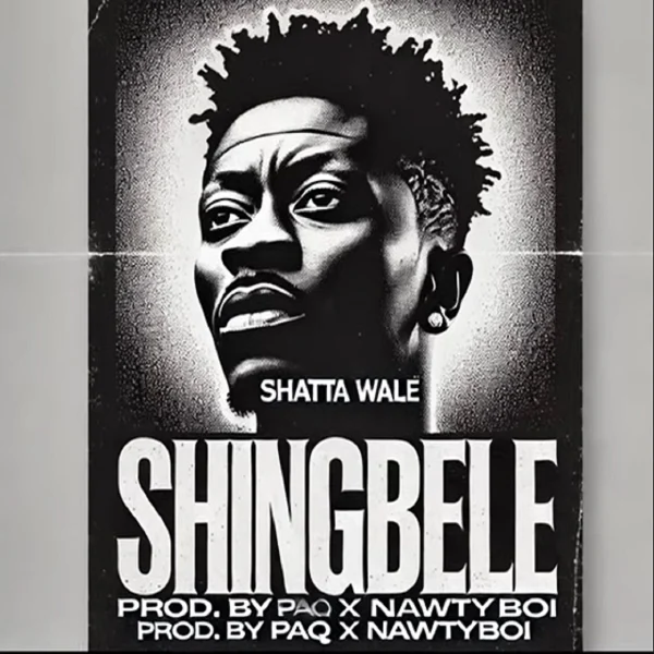 Shatta Wale - Shingbele