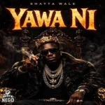 Shatta Wale – Yawa Ni