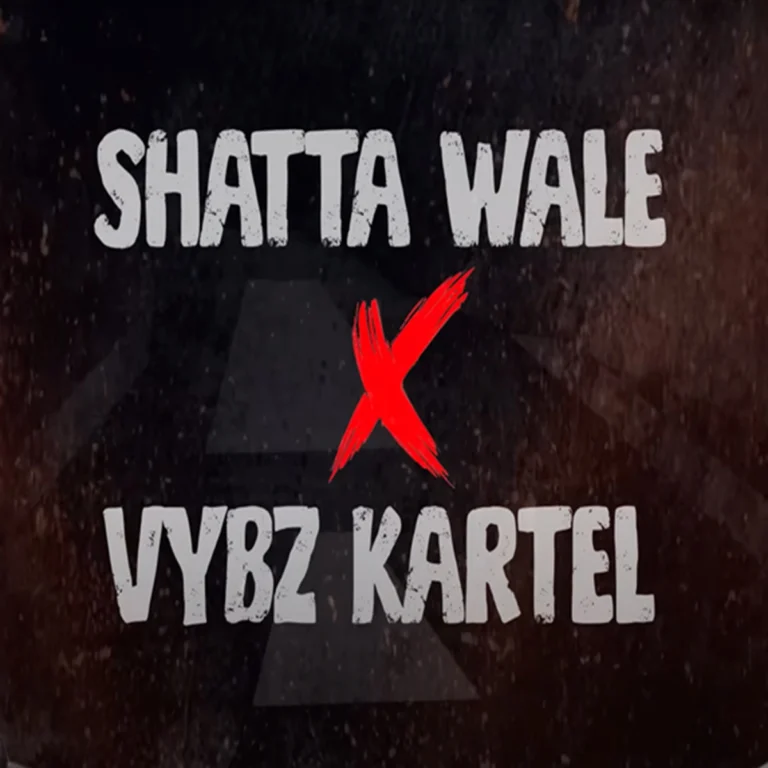 Shatta Wale X Vybz Kartel - Street Crown (remix)