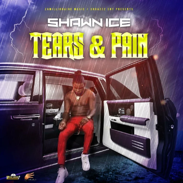 Shawn Ice - Tears & Pain