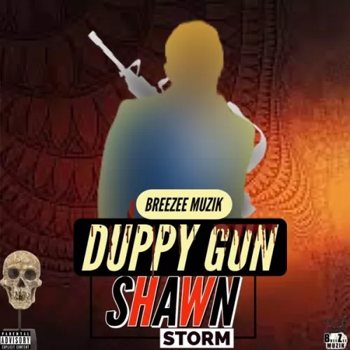 shawn storm - duppy gun