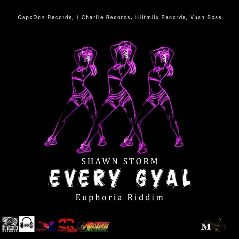 Shawn Storm - Every Gyal