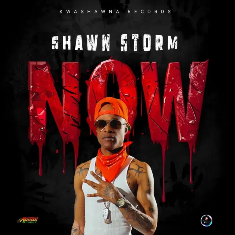 Shawn Storm – Now Shawn Storm - Now