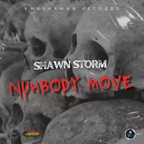 shawn storm - nuhbody move