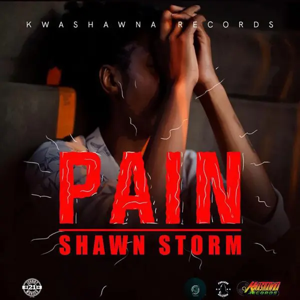 shawn storm - pain