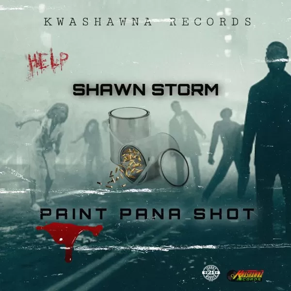 shawn storm - paint pana shot